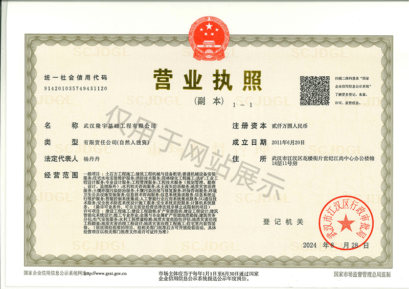 企业营业执照